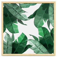 Tropical Palm Print
