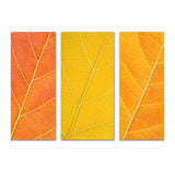 Autumn Leaves (Print Only) thumbnail