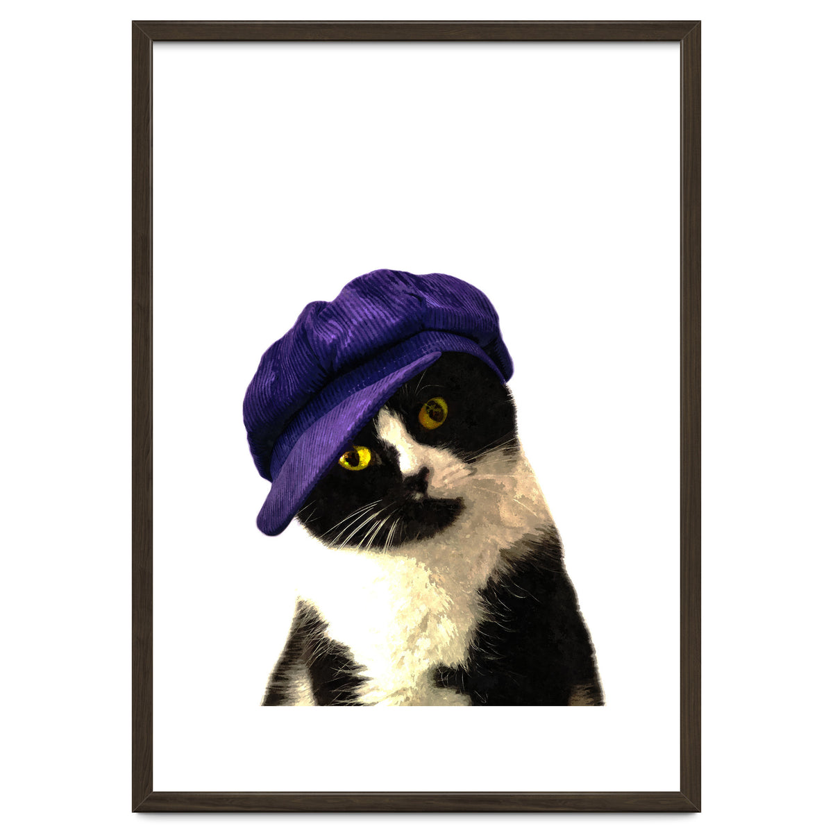 Cat Blue Hat