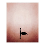 The Swan (Print Only) thumbnail