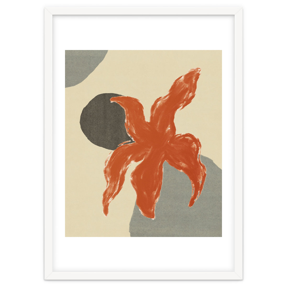 Wobbly Sea Star On Rocks \\ Abstract Composition