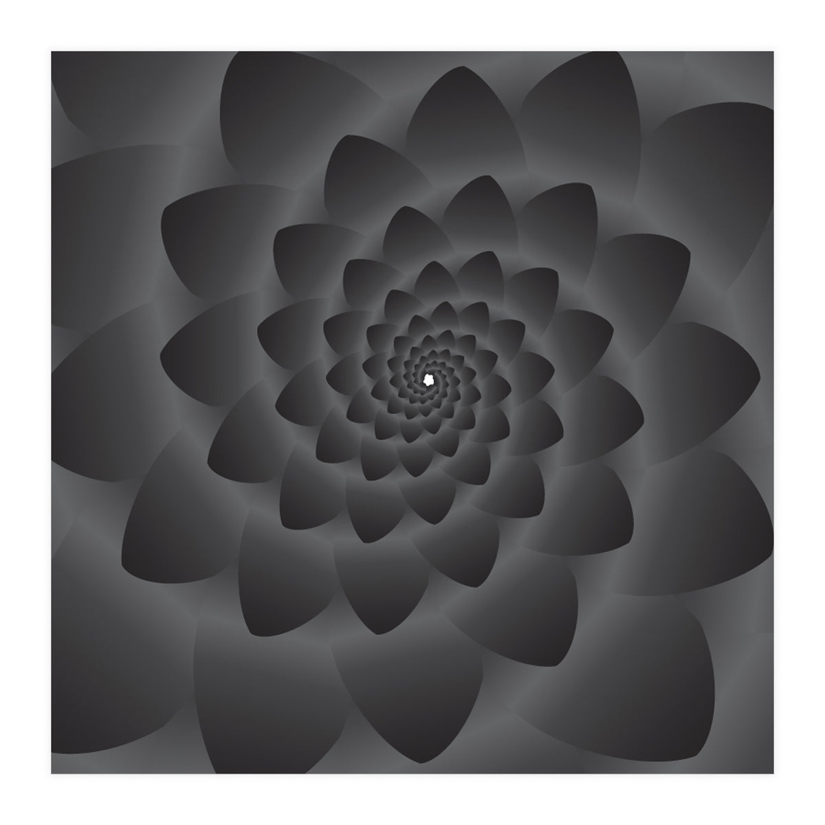 3 D Modern Black Floral (Print Only)