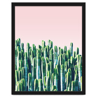 Cactus & Sunset I