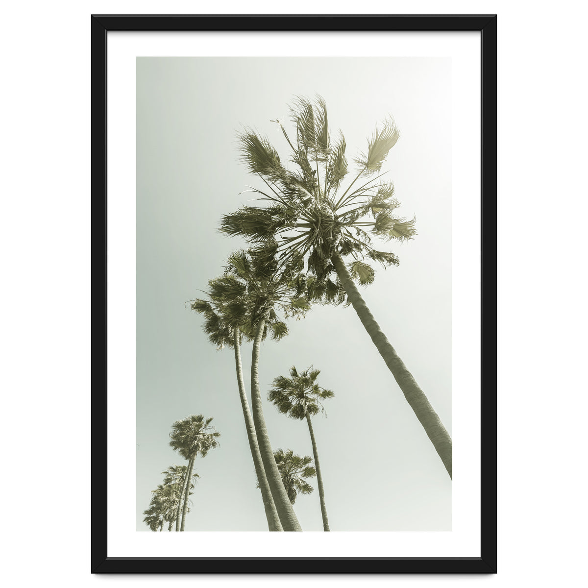 Vintage Palm Trees