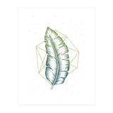 Geometry And Nature V (Print Only) thumbnail