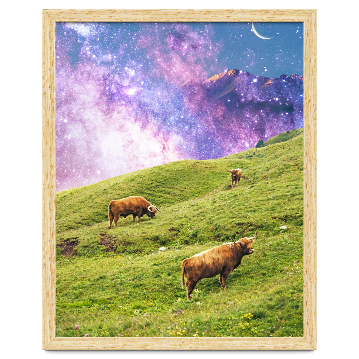 Space Cow Series II