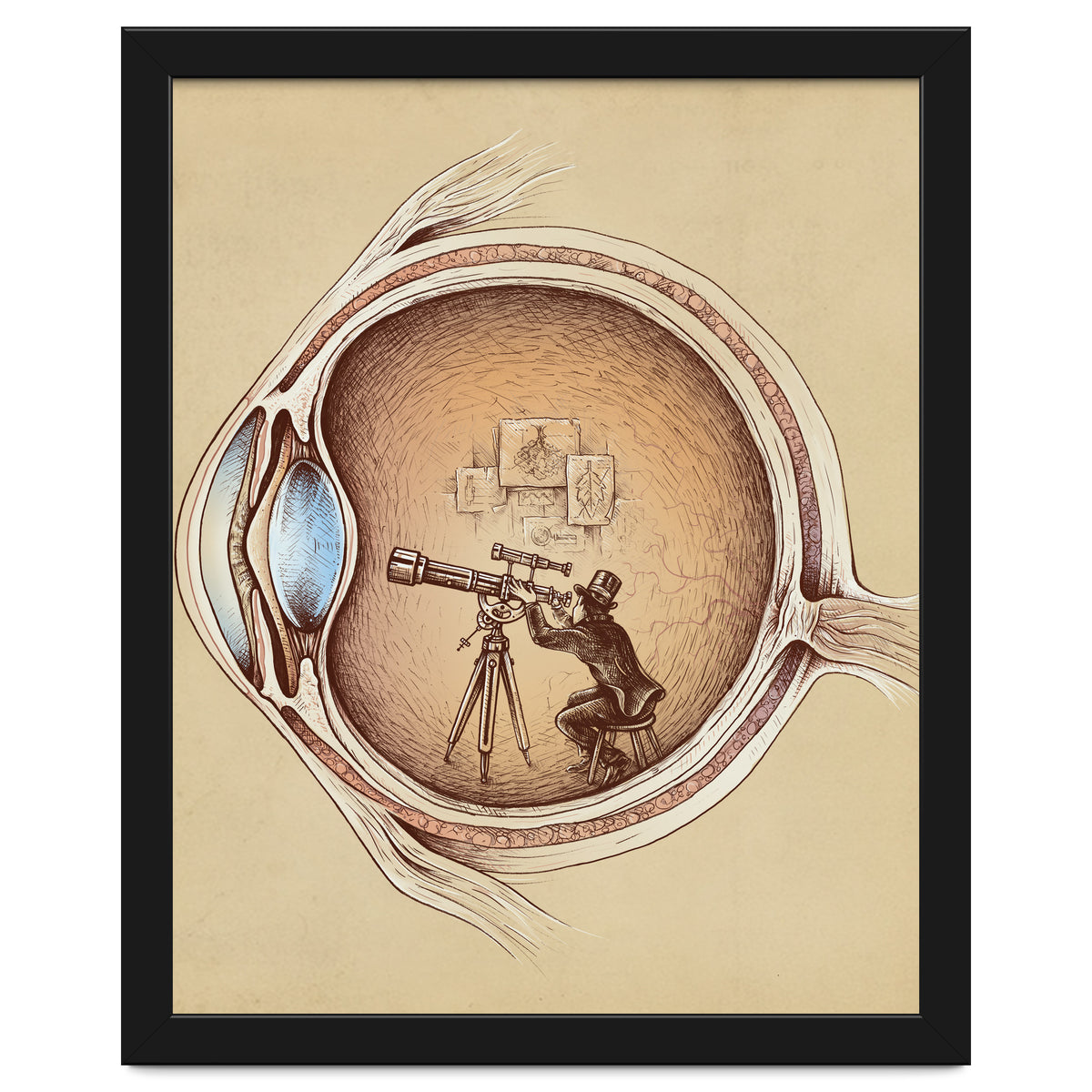 Extraordinary Observer