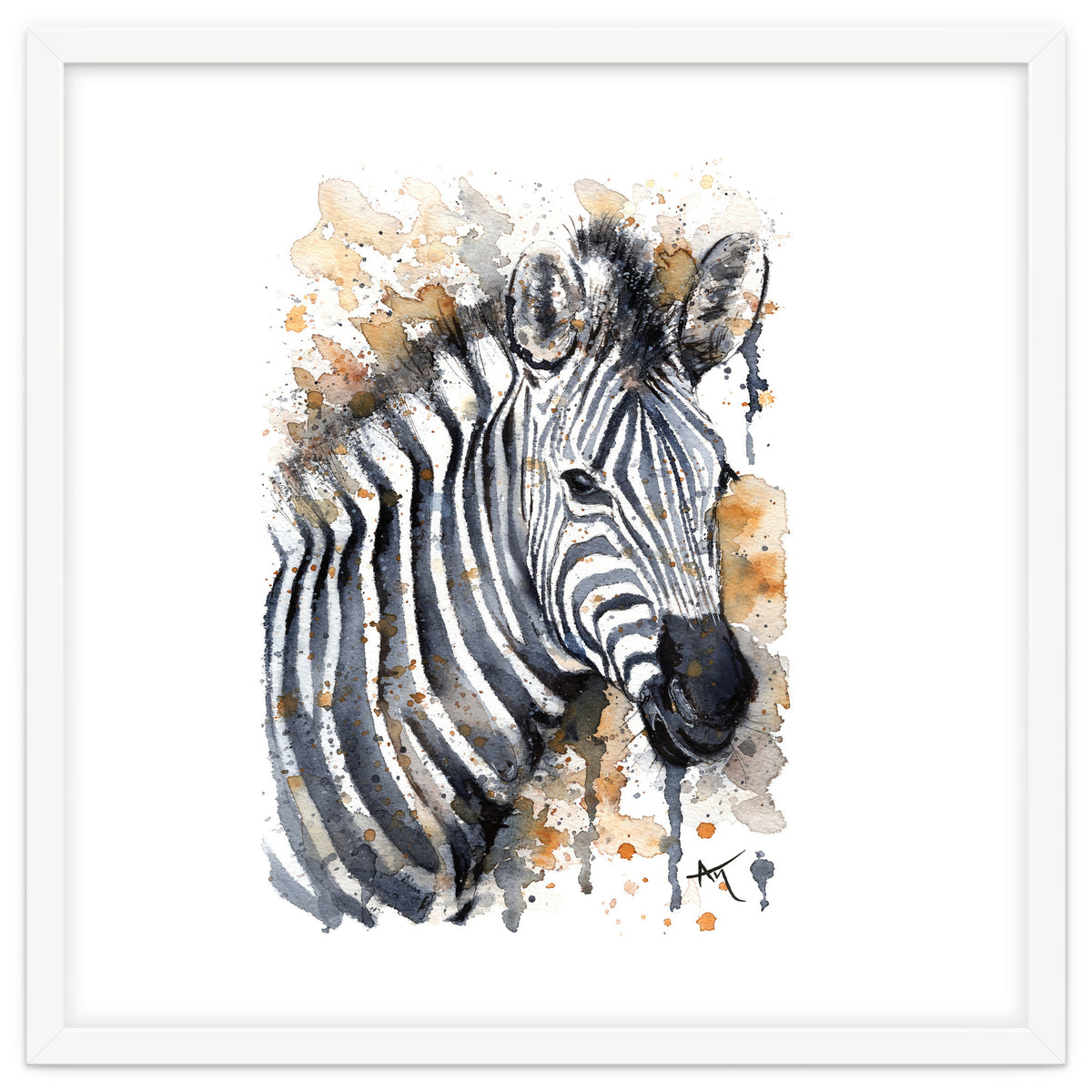 Zebra - Wildlife Collection
