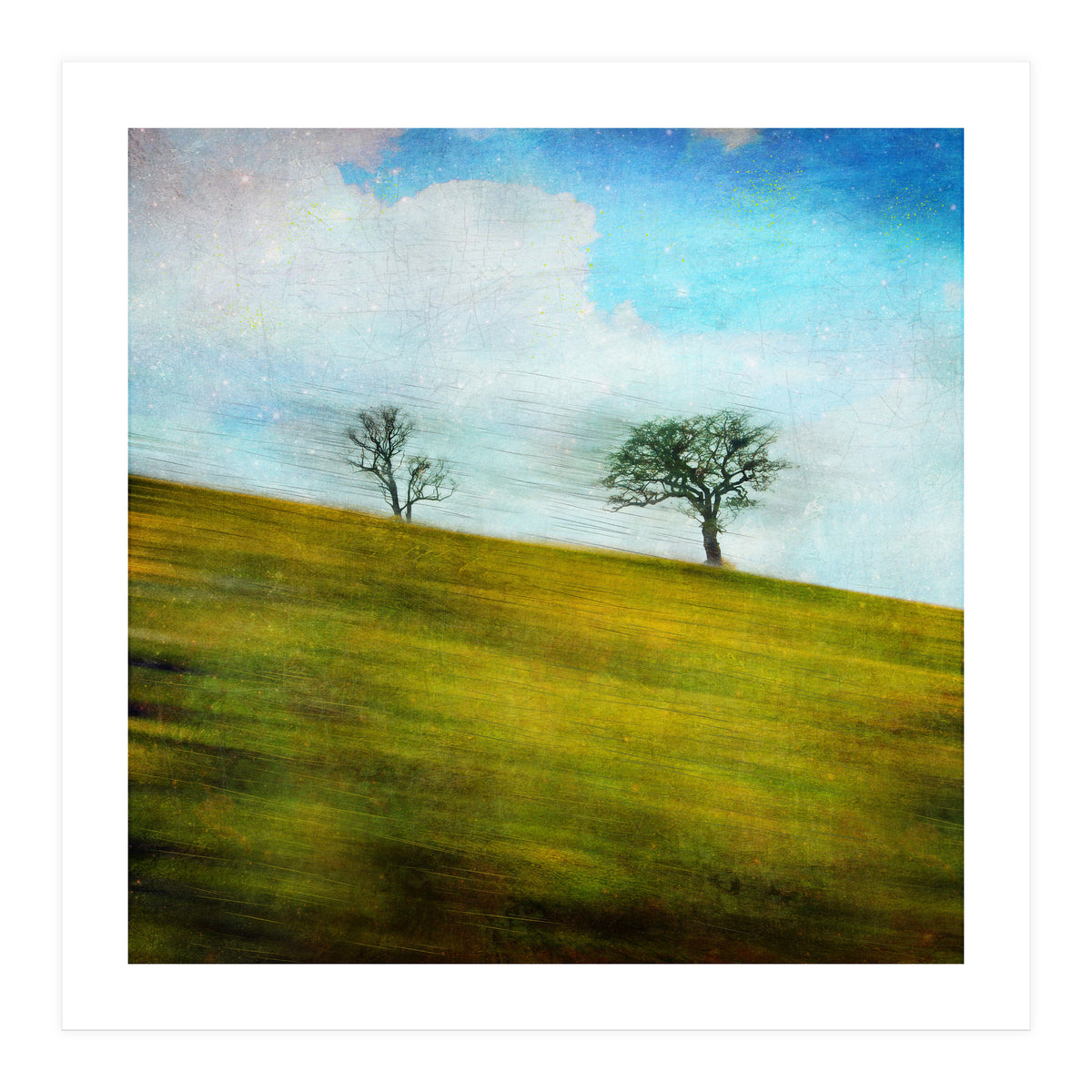 Uphill, Backwards (Print Only)