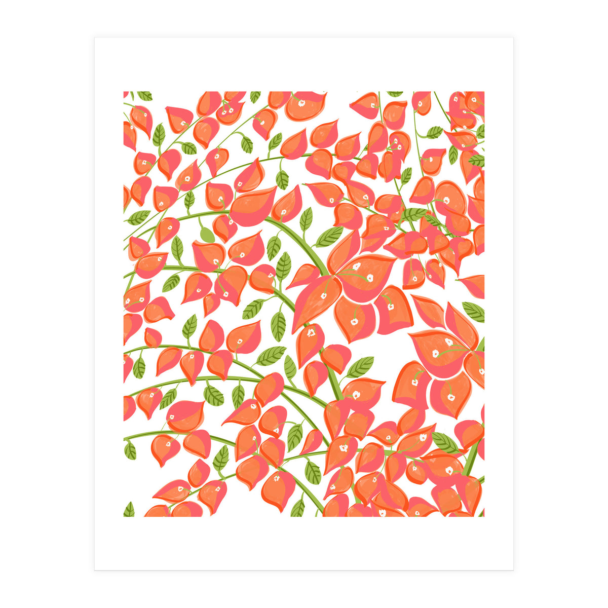 Bougainvillea Blush (Print Only)