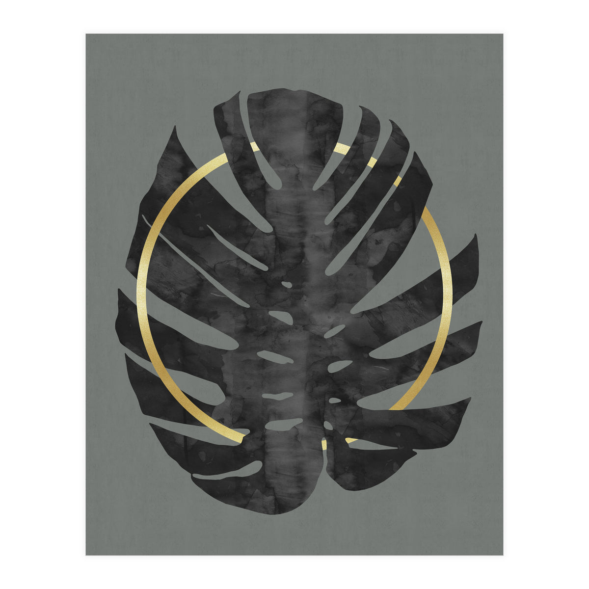 Monstera Deliciosa I (Print Only)