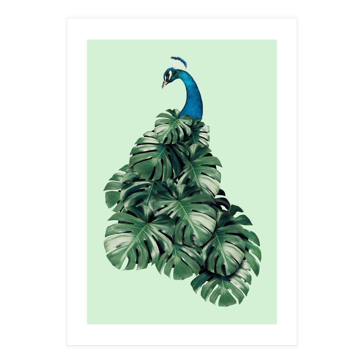 Monstera Bird (Print Only)