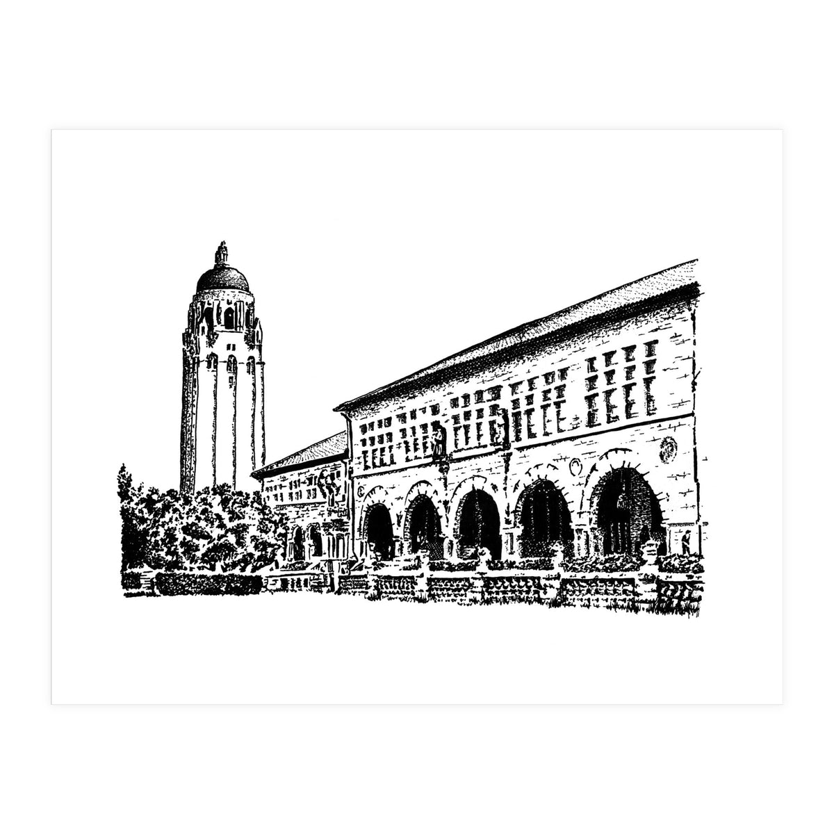 Stanford University (Print Only)