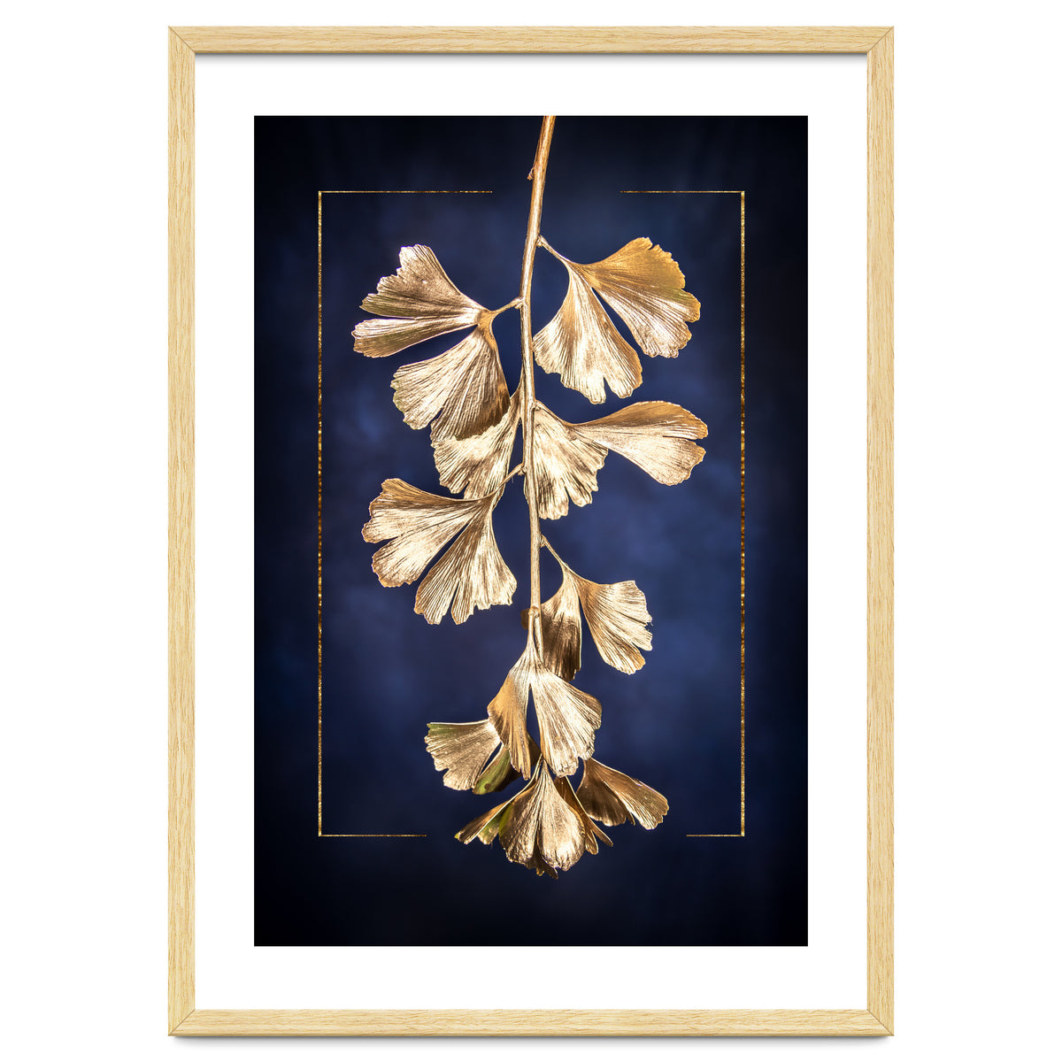 Golden Gingko Tree