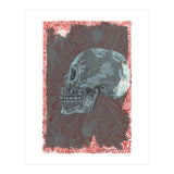 Saffron (Print Only) thumbnail