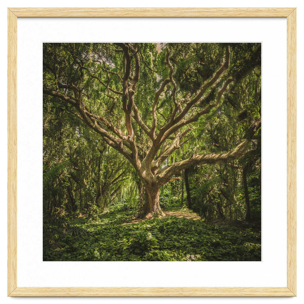 Spirits inside the wood