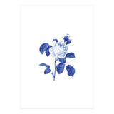Blue Botanic I (Print Only) thumbnail