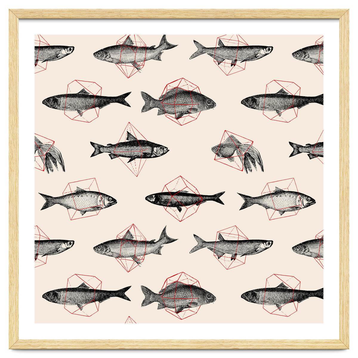 Fish In Geometrics