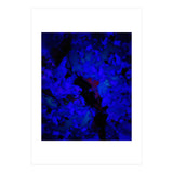 A Dark Blue Crash (Print Only) thumbnail