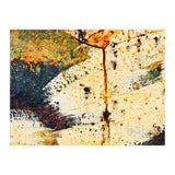 Zara (Print Only) thumbnail