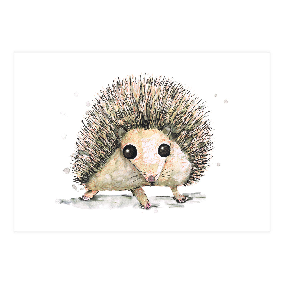 Hedgehog (Print Only)