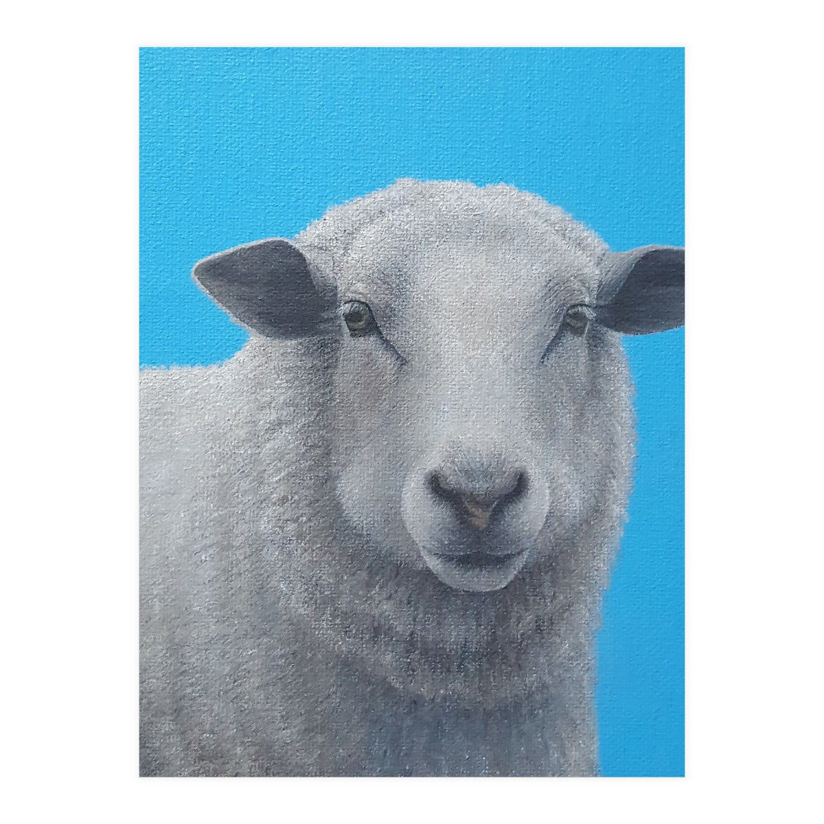 Sheep (Print Only)