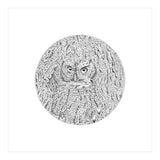 In Plain Sight (Print Only) thumbnail