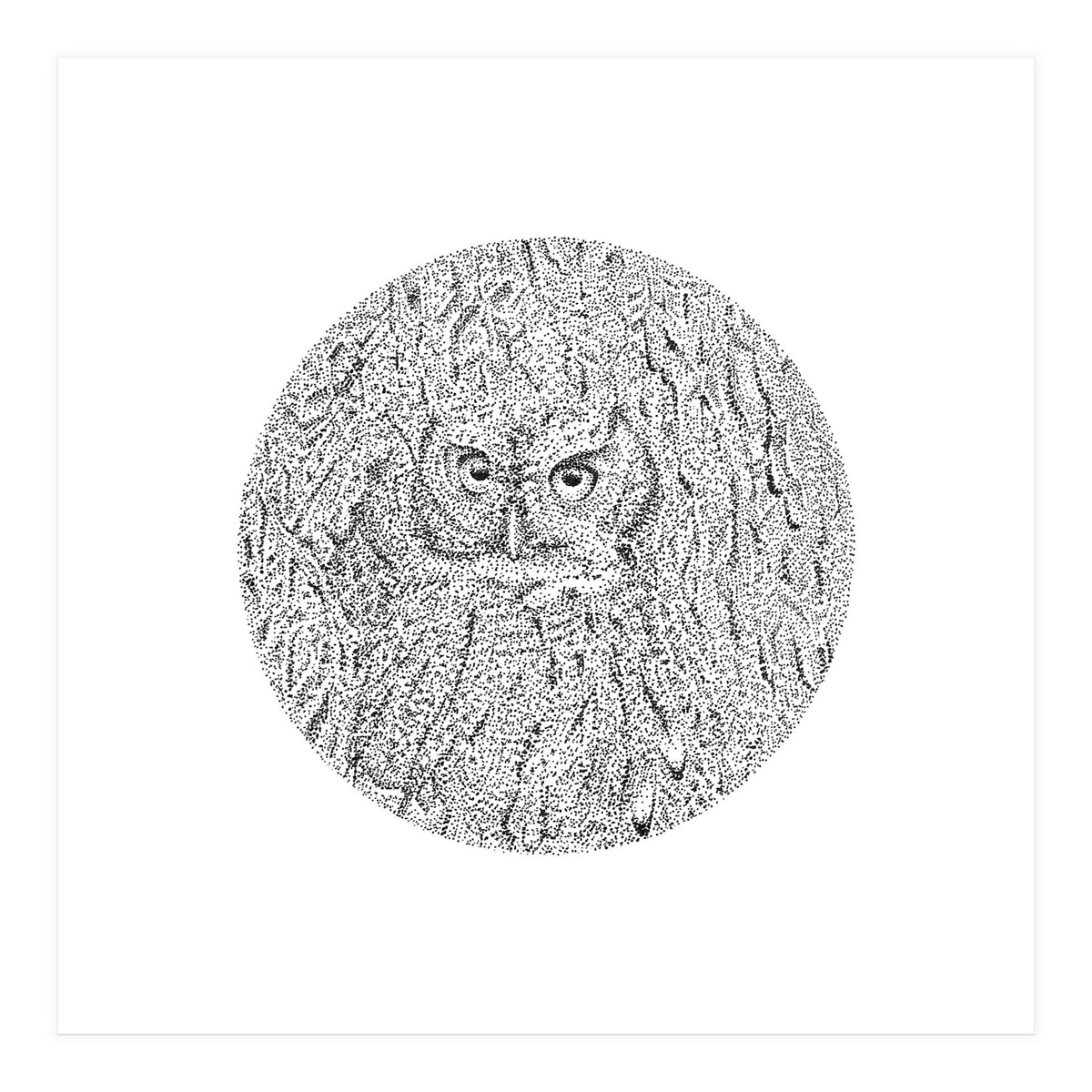 In Plain Sight (Print Only)