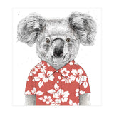 Summer Koala  (Print Only) thumbnail