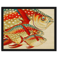 Fish Classic Designs 1