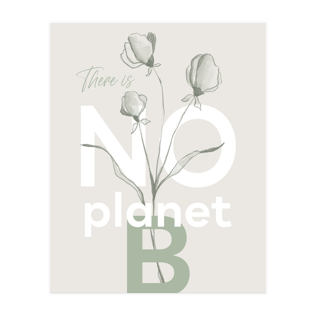 There is no planet B (Print Only)