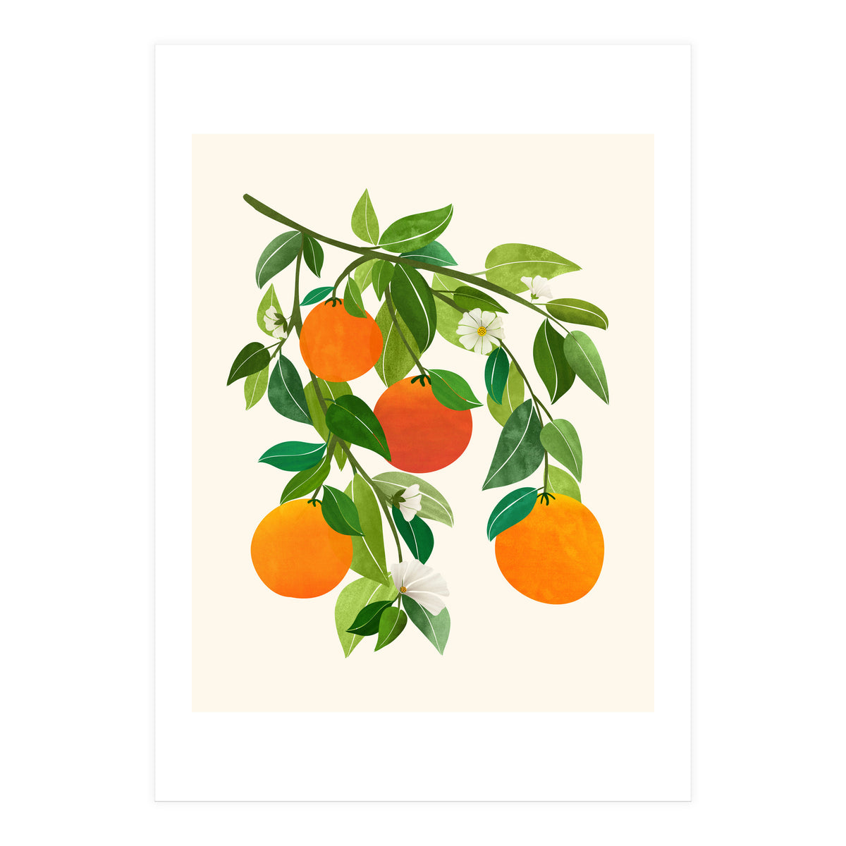 Oranges and Blossoms II (Print Only)