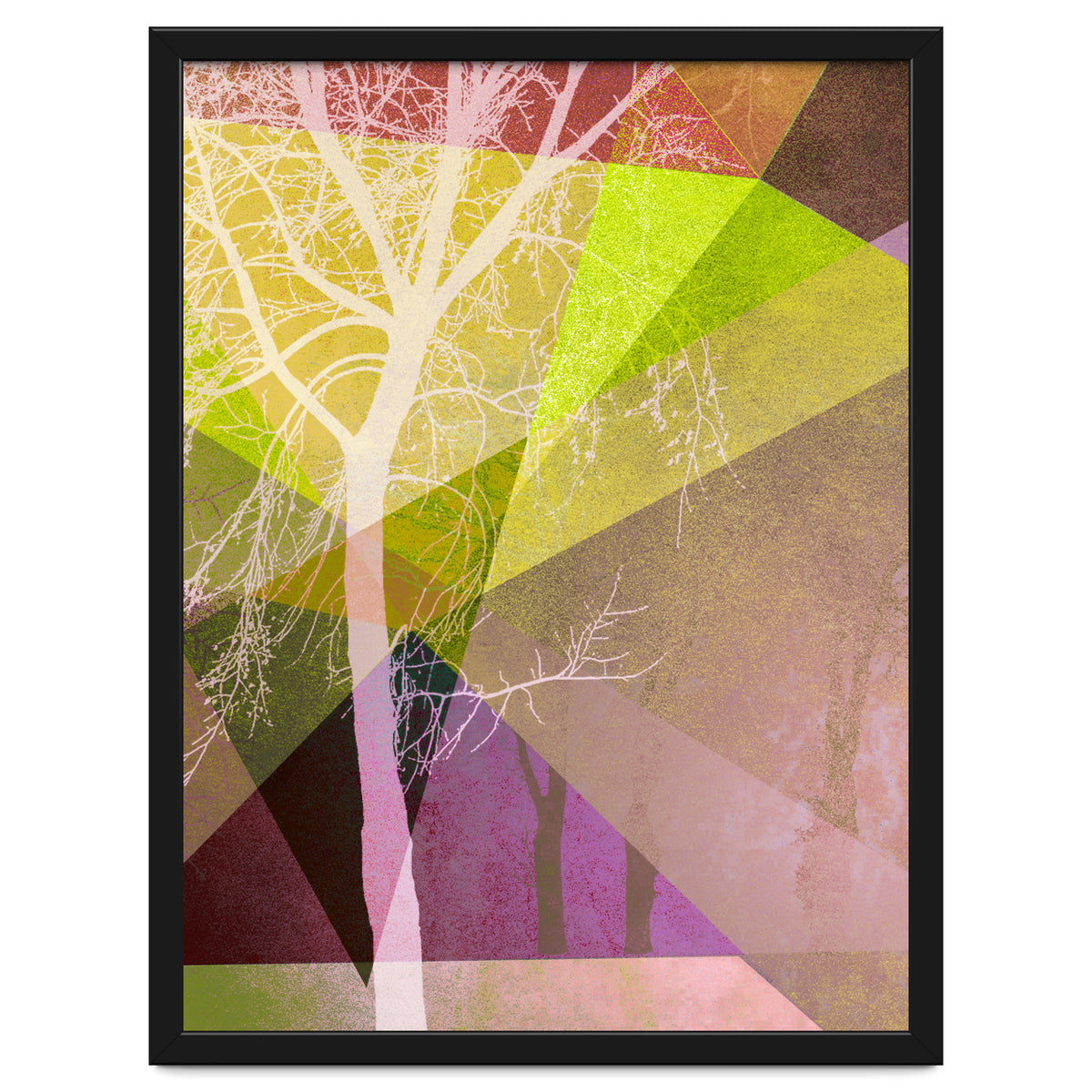 P22 Trees And Triangles