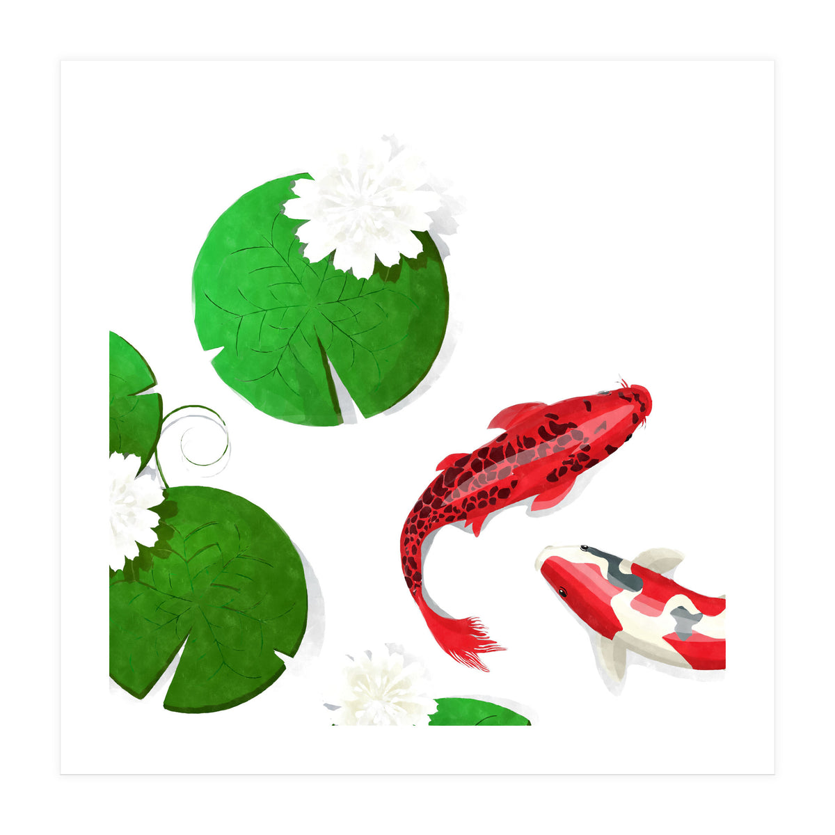 Watercolor Koi Fish Background (Print Only)