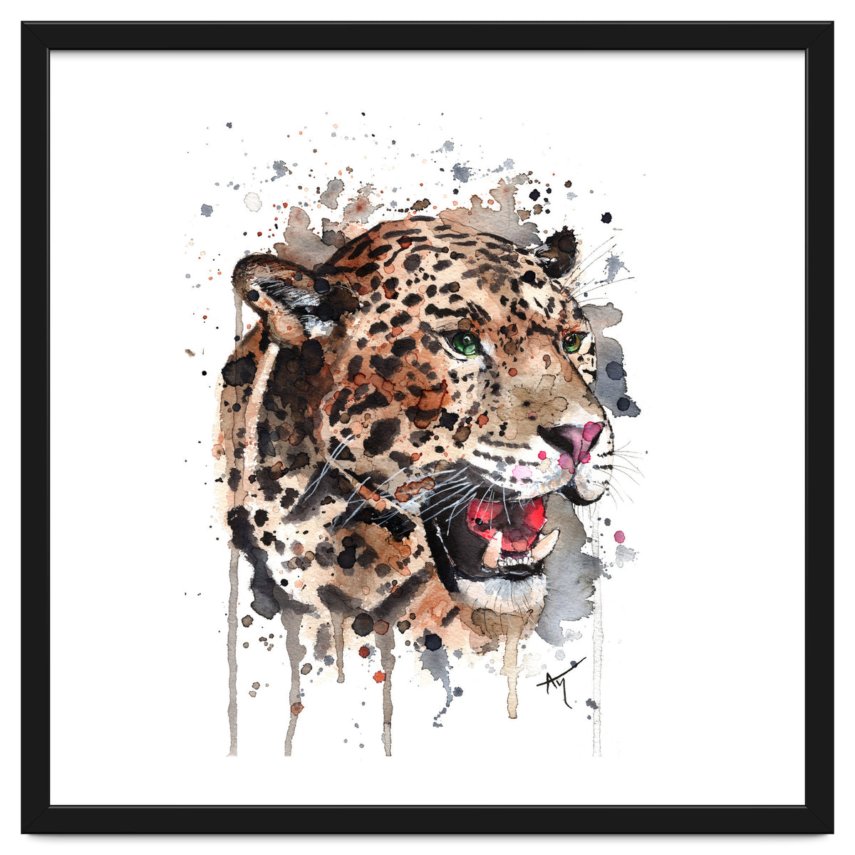 Leopard - Wildlife Collection