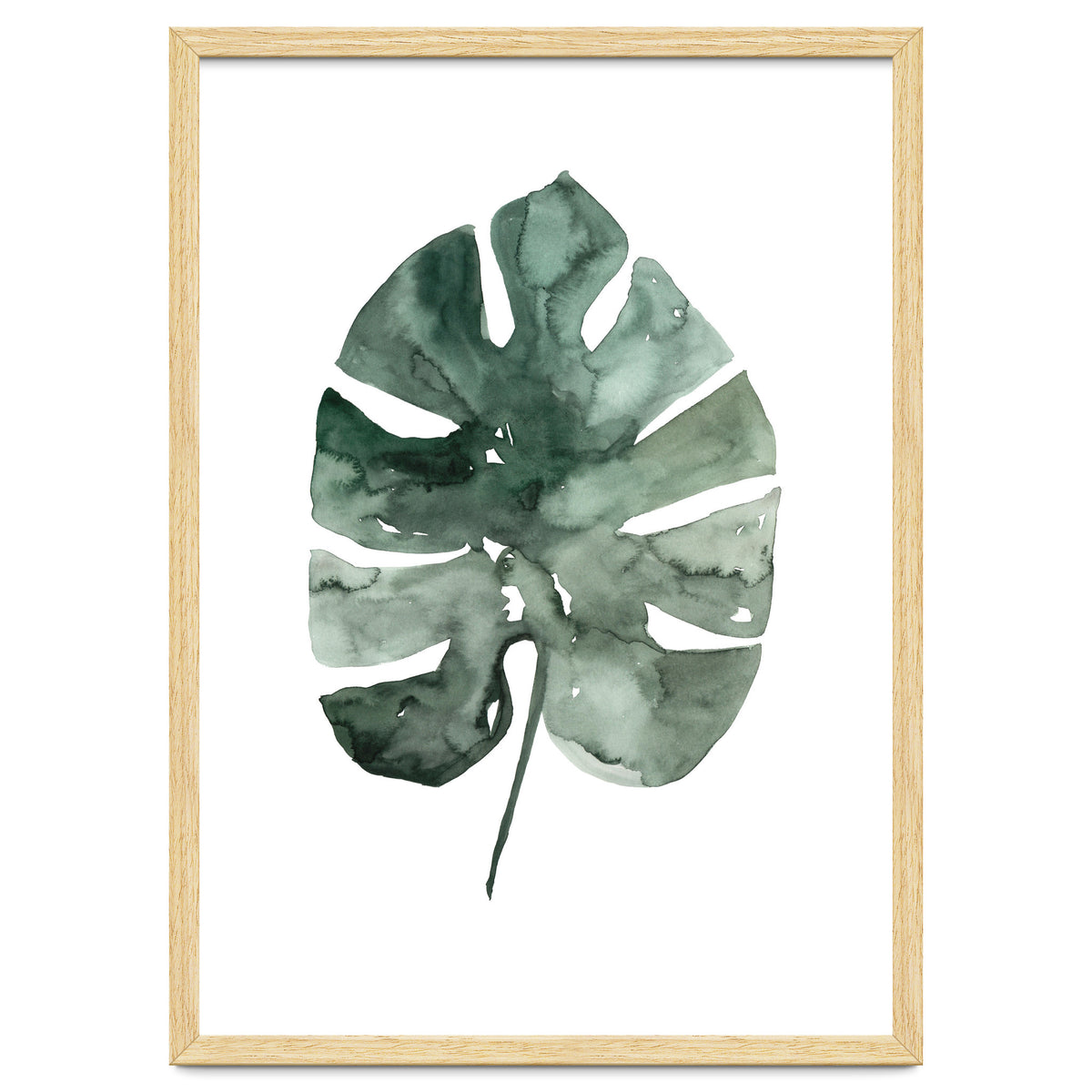 Botanical Illustration Monstera Leaf