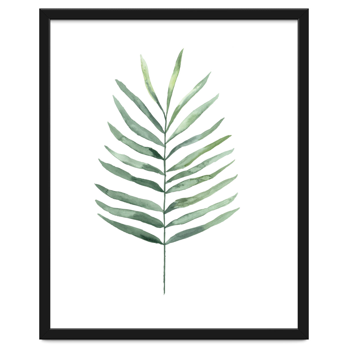 Botanical Illustration Fern