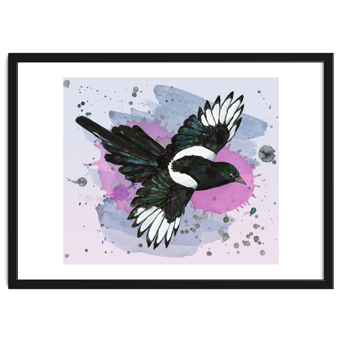 A watercolor drawing of a flying magpie