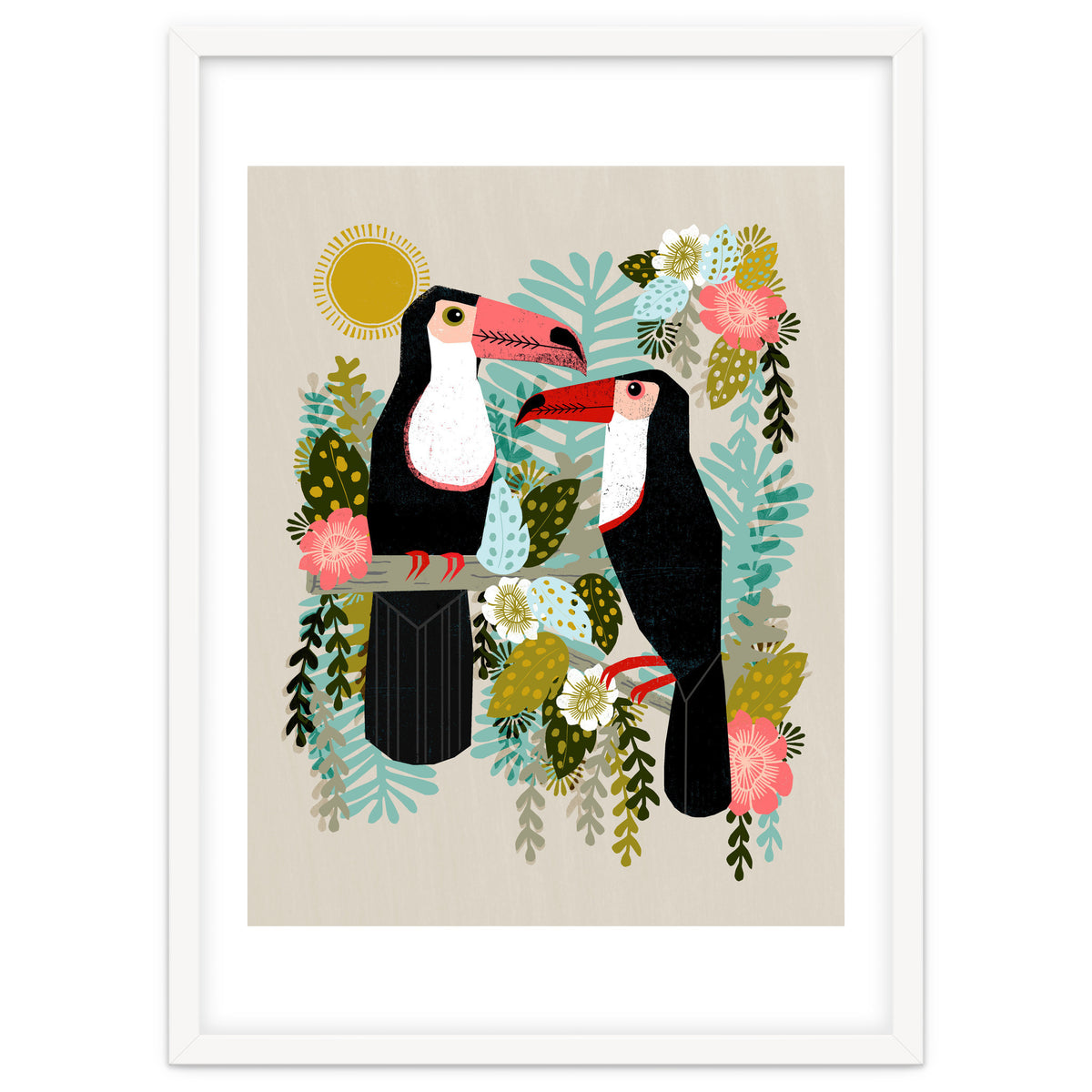 Toucans