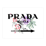 prada marfa (Print Only) thumbnail