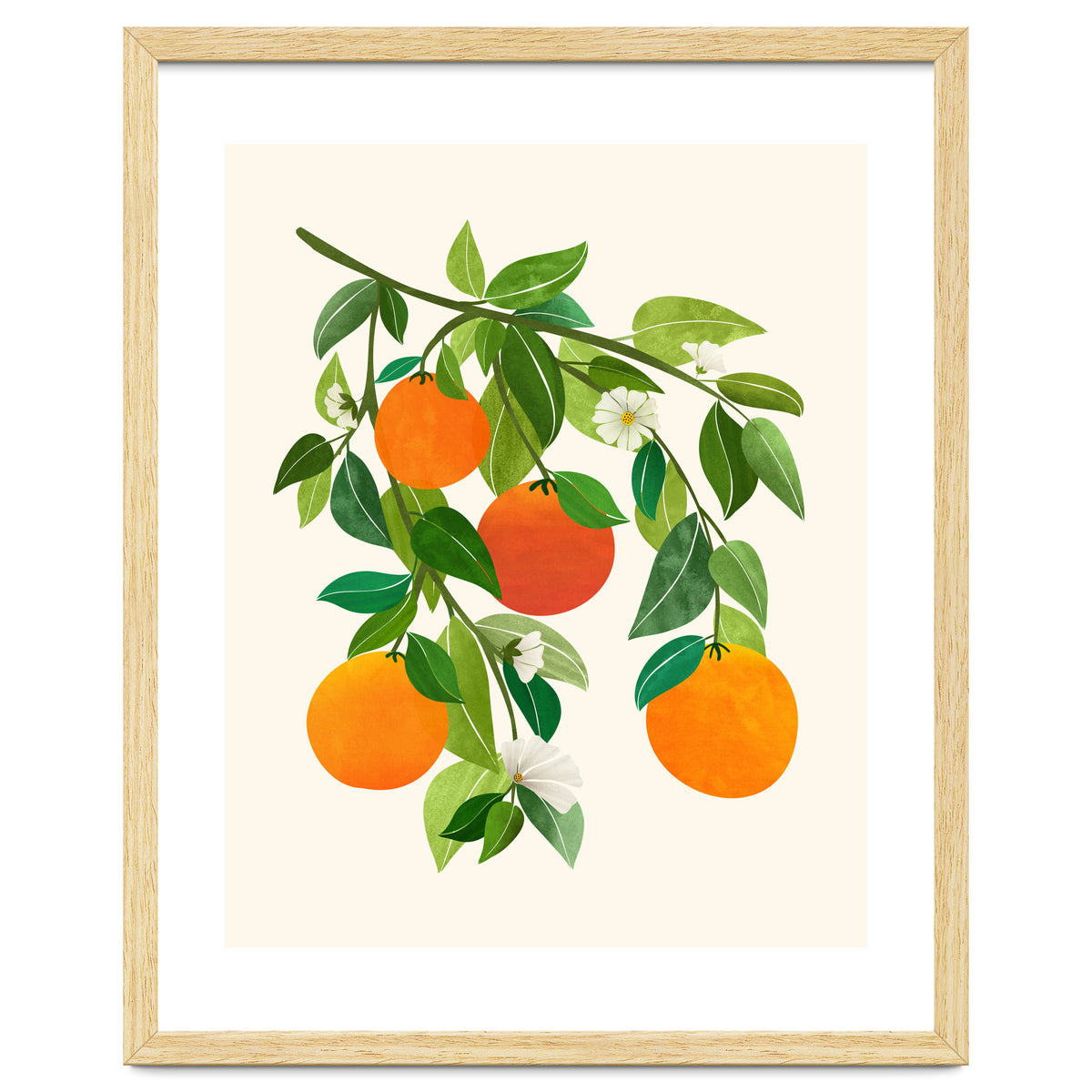 Oranges and Blossoms II