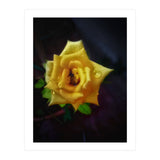 Yellow Flora (Print Only) thumbnail