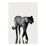 Tiger  (Print Only) thumbnail