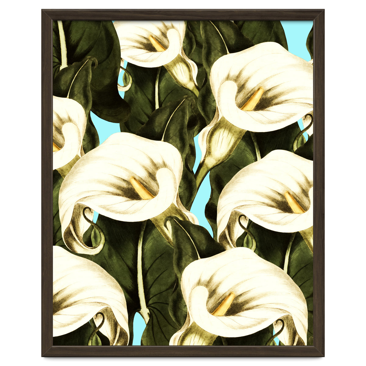 Pattern floral Ethiopian-Calla
