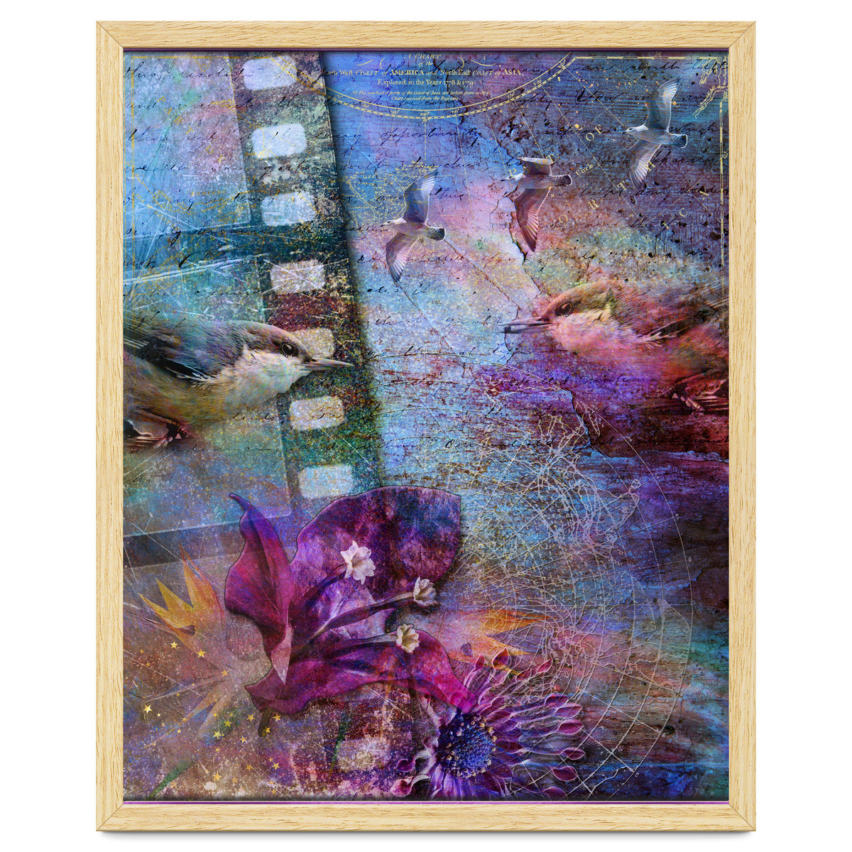 Watching the Wild World