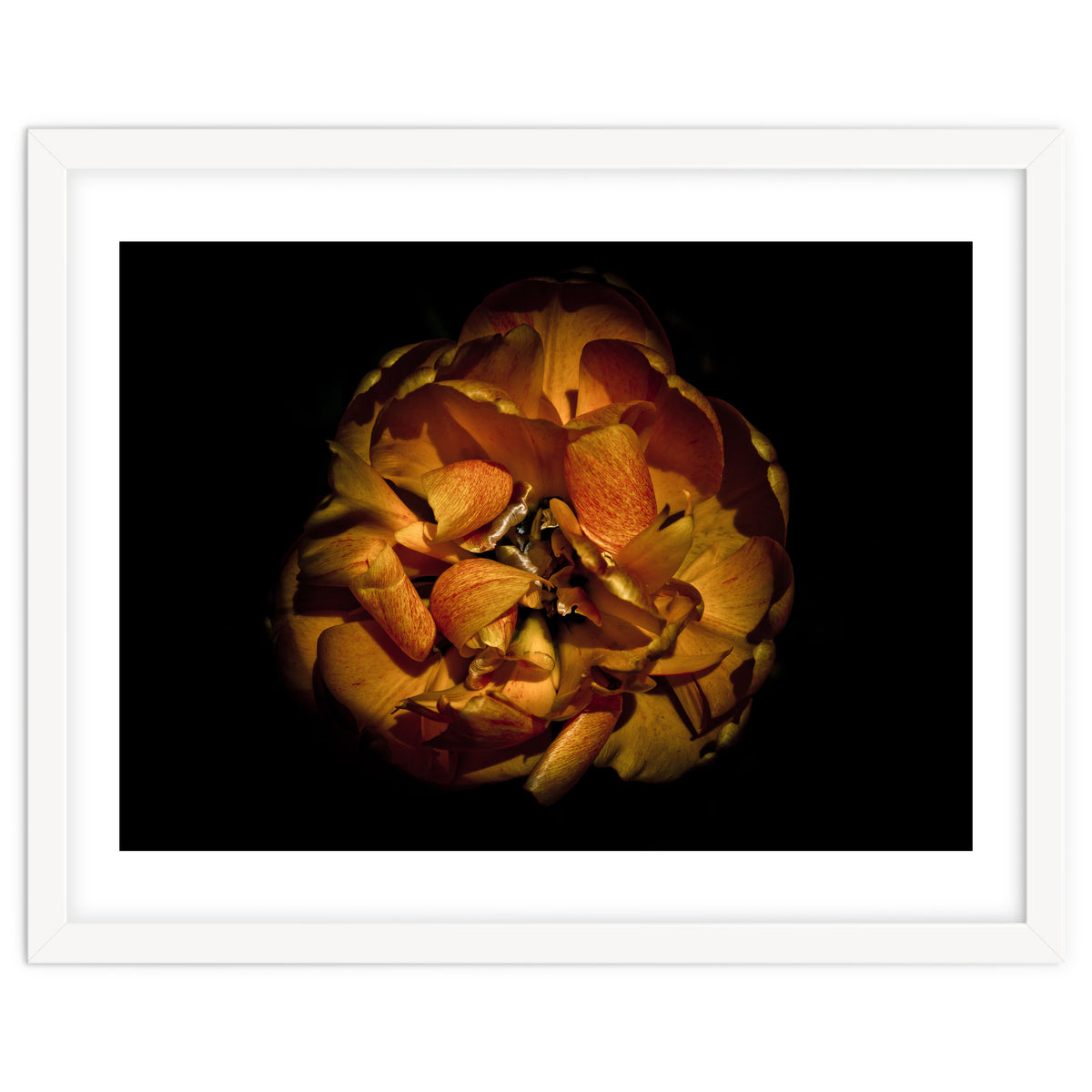 Backyard Flowers No 80 Color Version