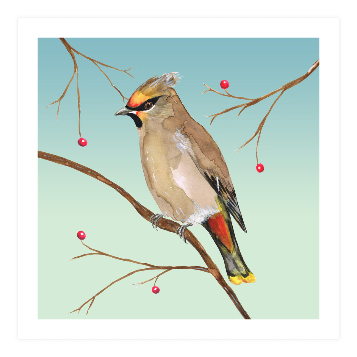 Bohemian waxwing (Print Only)
