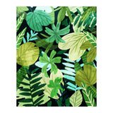 Rainforest Ii (Print Only) thumbnail