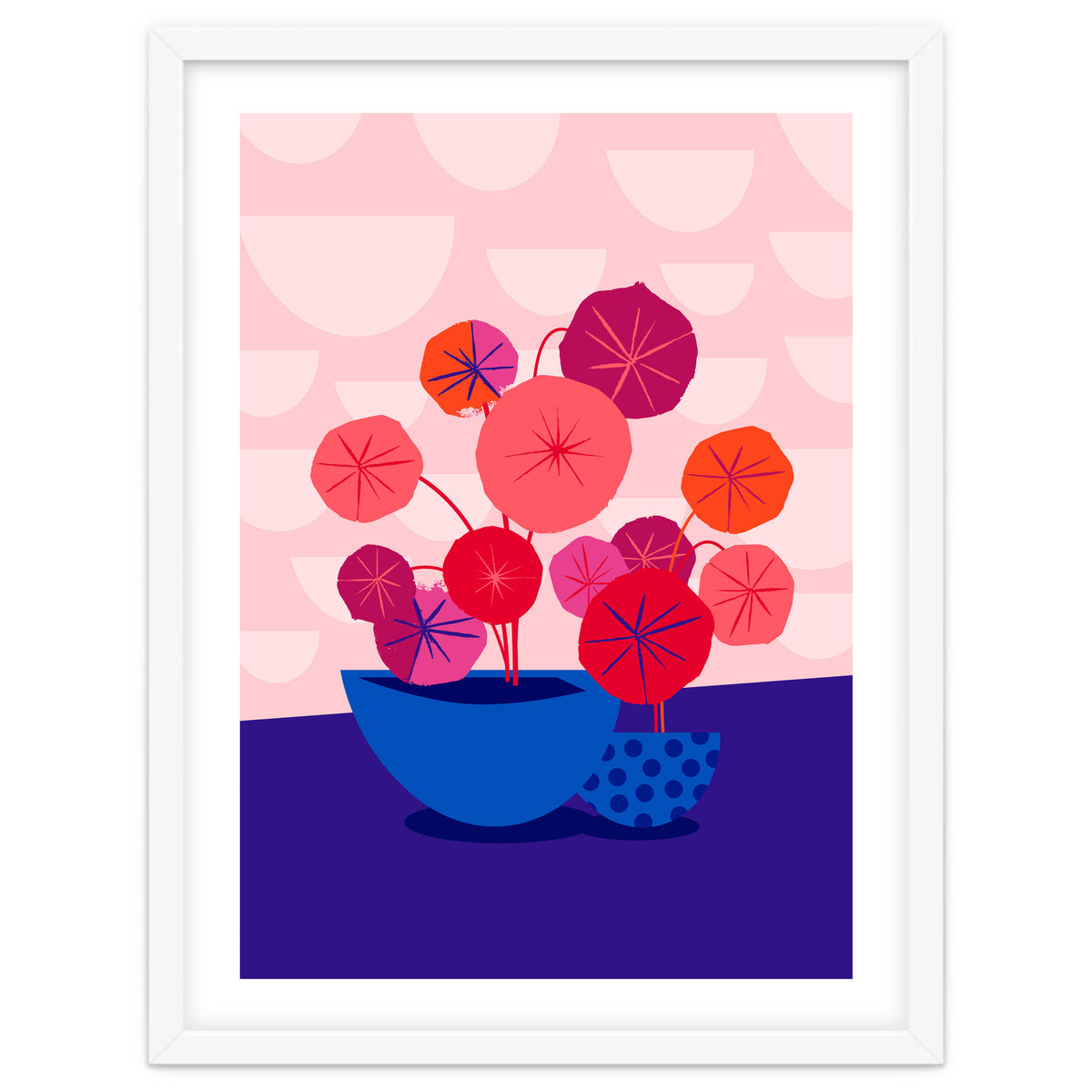 Pileas in Red and Pink