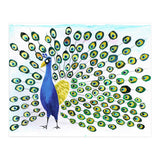 Peacock (Print Only) thumbnail